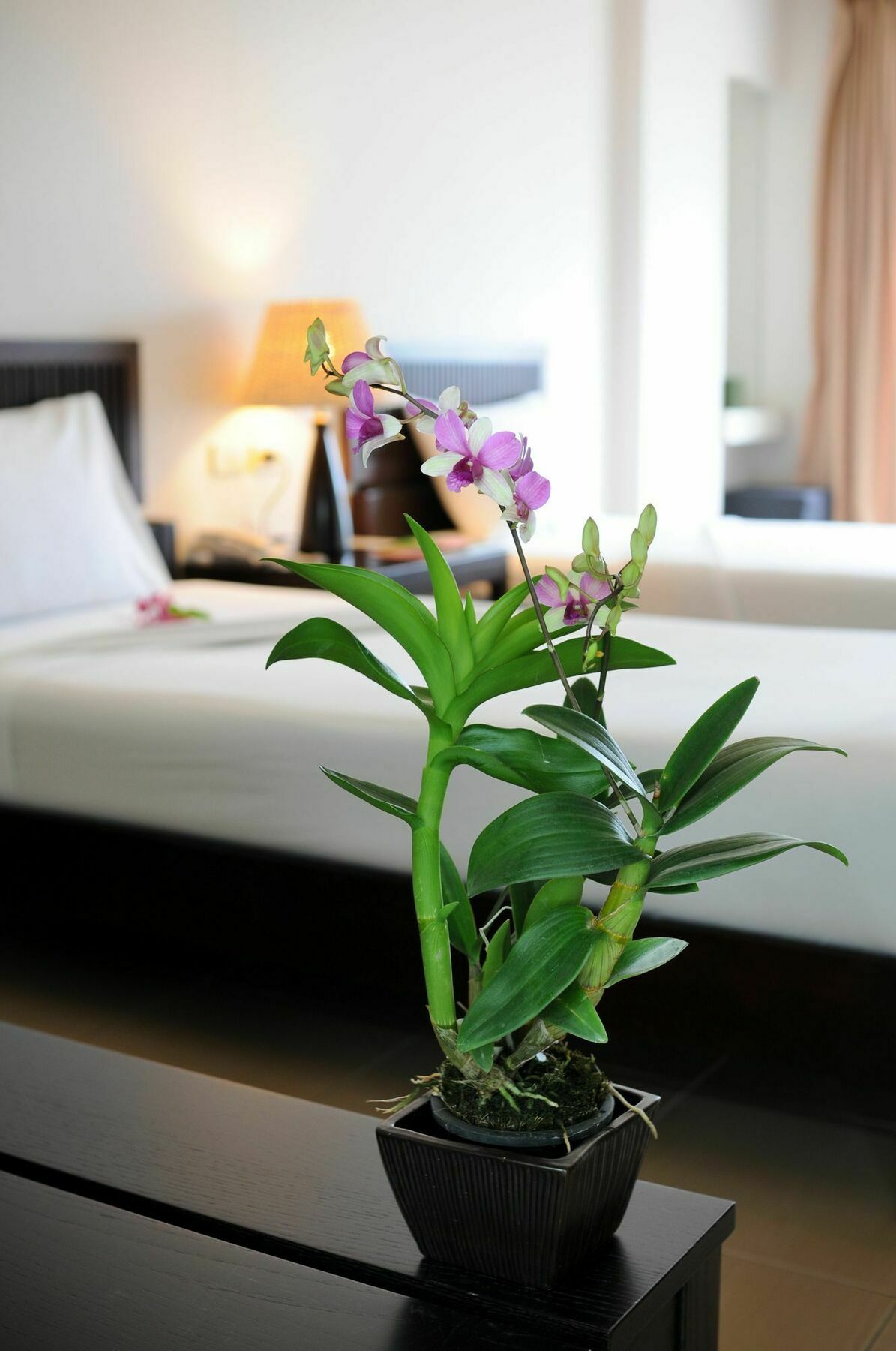 Kasemsarn Hotel Чантабури Екстериор снимка